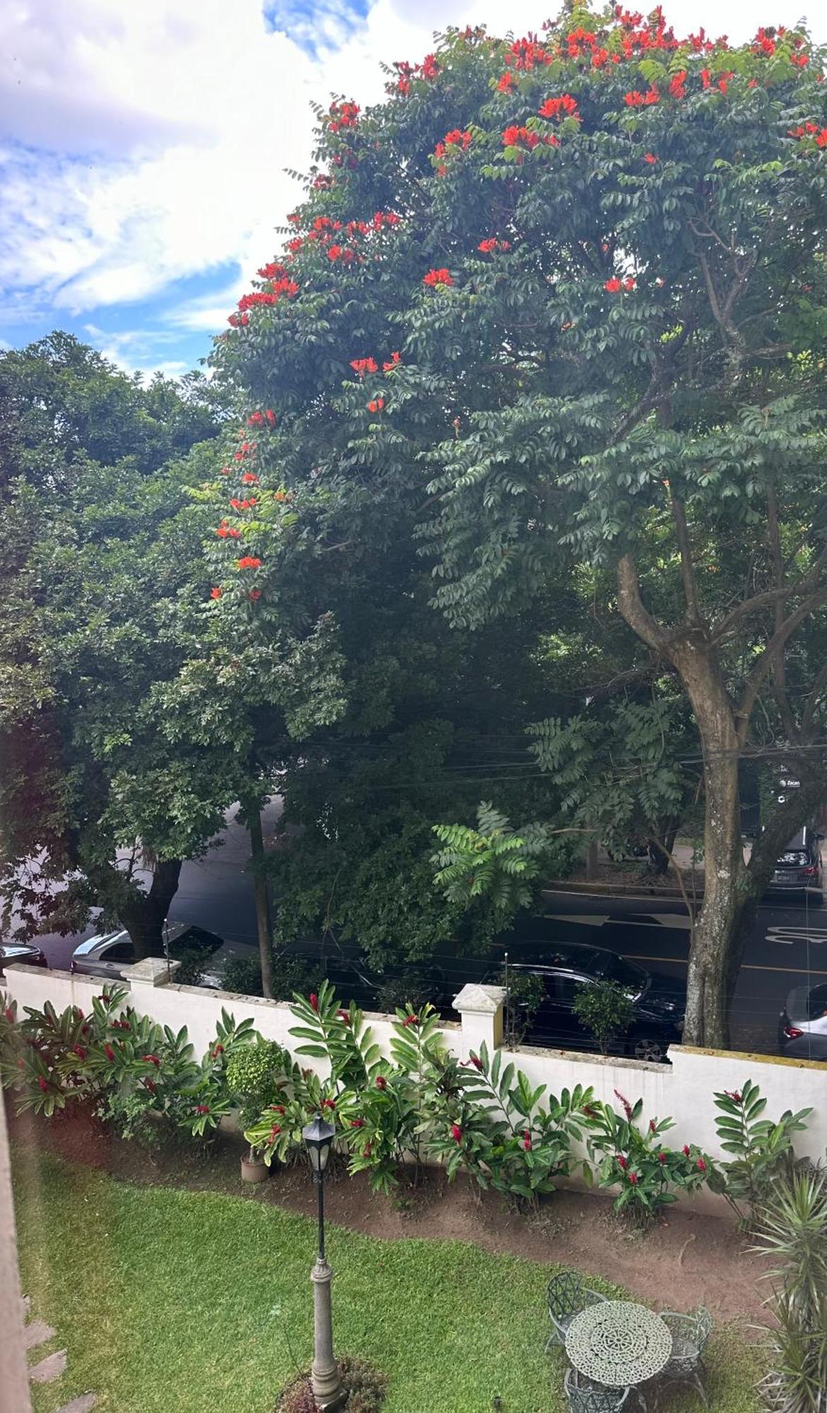 Monblanc Apartamento Completo San Salvador Eksteriør bilde